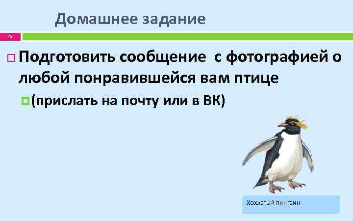 Домашнее задание 42 Подготовить сообщение с фотографией о любой понравившейся вам птице (прислать на