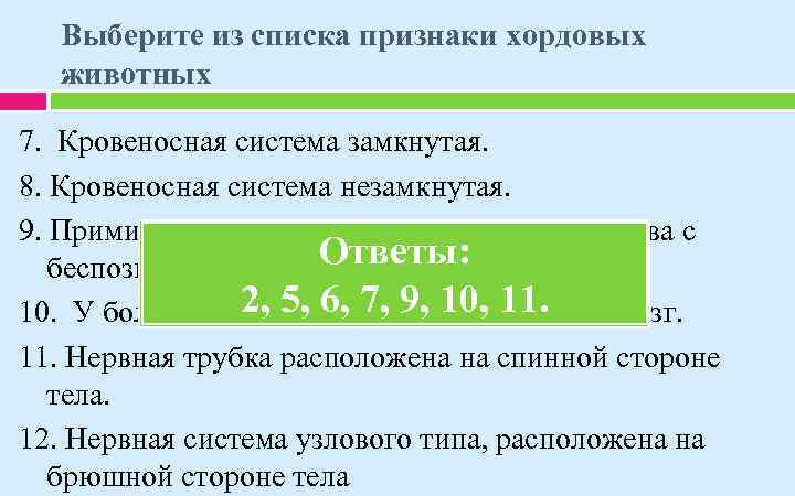 Выберите из списка признаки хордовых животных 7. Кровеносная система замкнутая. 8. Кровеносная система незамкнутая.