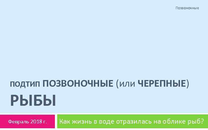 Позвоночные ПОДТИП ПОЗВОНОЧНЫЕ (или ЧЕРЕПНЫЕ) РЫБЫ Февраль 2018 г. Как жизнь в воде отразилась