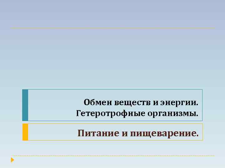 Обмен веществ и энергии. Гетеротрофные организмы. Питание и пищеварение. 