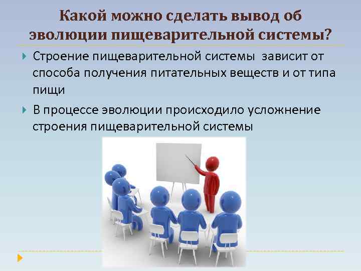 Какой можно сделать вывод об эволюции пищеварительной системы? Строение пищеварительной системы зависит от способа