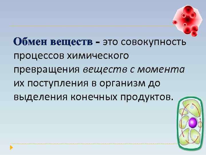 Обмен веществ - это совокупность процессов химического превращения веществ с момента их поступления в