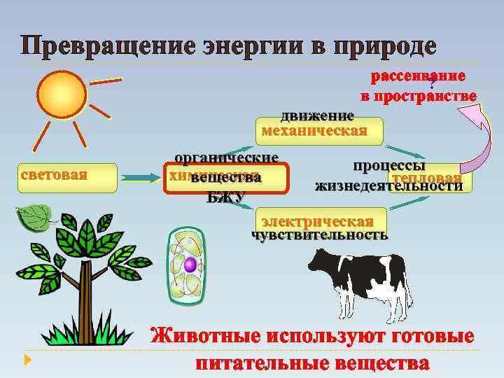 Превращение энергии в природе рассеивание ? в пространстве движение механическая световая органические процессы химическая