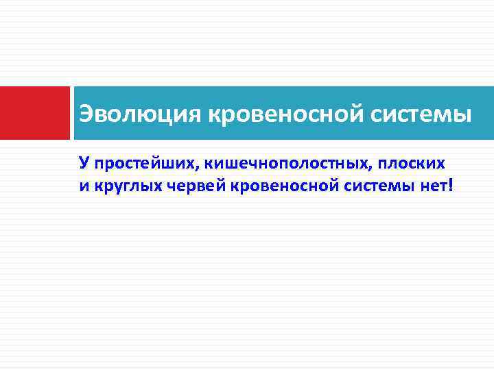 Эволюция кровеносной системы У простейших, кишечнополостных, плоских и круглых червей кровеносной системы нет! 