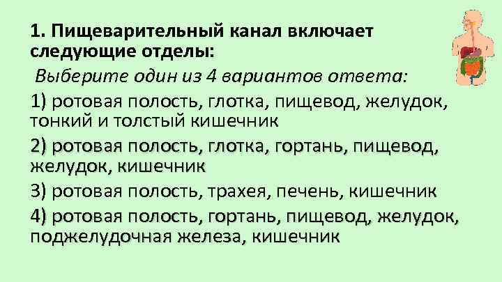 1. Пищеварительный канал включает следующие отделы: Выберите один из 4 вариантов ответа: 1) ротовая