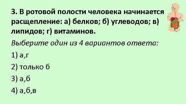 3. В ротовой полости человека начинается расщепление: а) белков; б) углеводов; в) липидов; г)