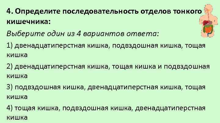 4. Определите последовательность отделов тонкого кишечника: Выберите один из 4 вариантов ответа: 1) двенадцатиперстная