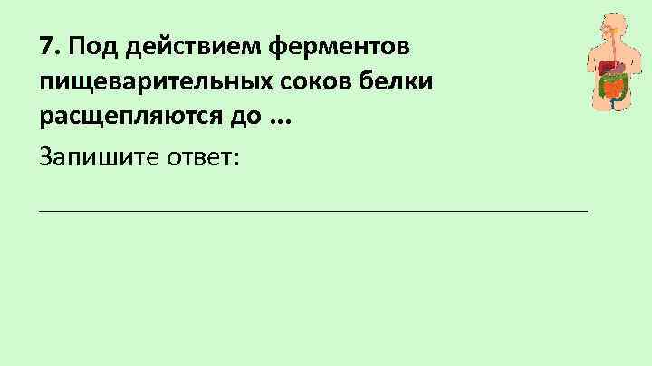 7. Под действием ферментов пищеварительных соков белки расщепляются до. . . Запишите ответ: ___________________