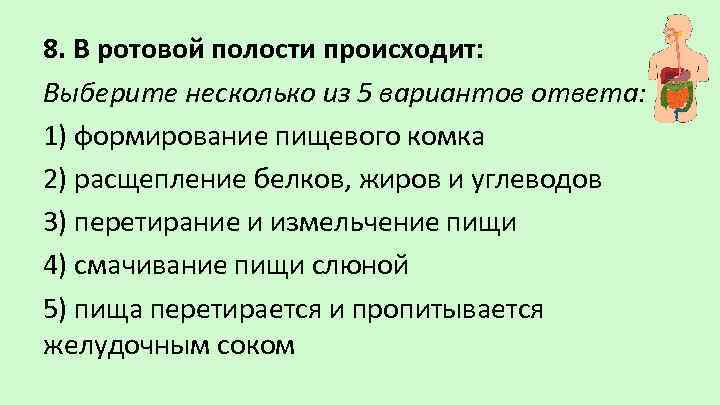 В ротовой полости происходит