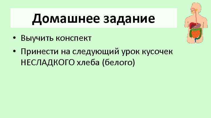 Домашнее задание • Выучить конспект • Принести на следующий урок кусочек НЕСЛАДКОГО хлеба (белого)