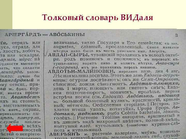 Толковый словарь ВИДаля 