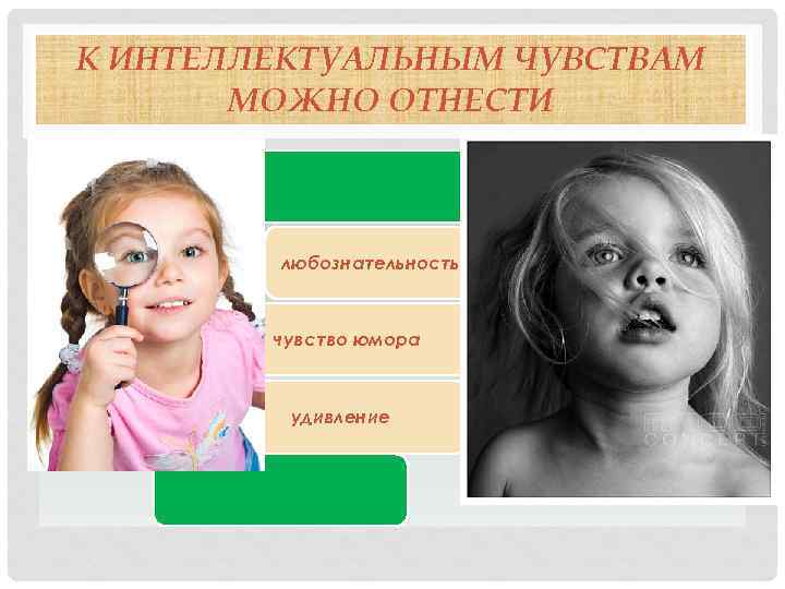 К ИНТЕЛЛЕКТУАЛЬНЫМ ЧУВСТВАМ МОЖНО ОТНЕСТИ любознательность чувство юмора удивление 