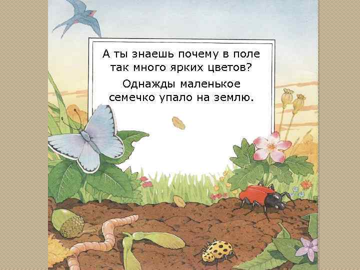 А ты знаешь почему в поле так много ярких цветов? Однажды маленькое семечко упало