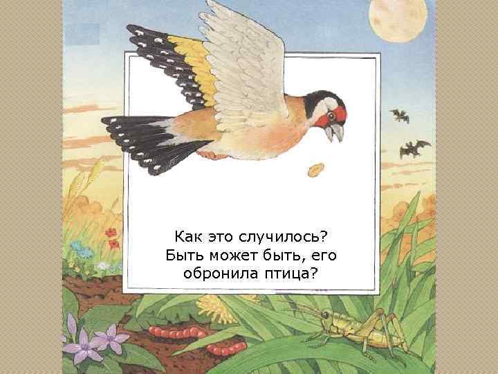 Как это случилось? Быть может быть, его обронила птица? 
