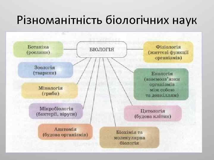 Різноманітність біологічних наук 