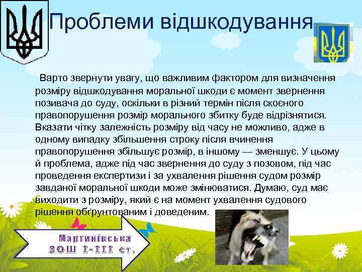 Проблеми відшкодування Варто звернути увагу, що важливим фактором для визначення розміру відшкодування моральної шкоди