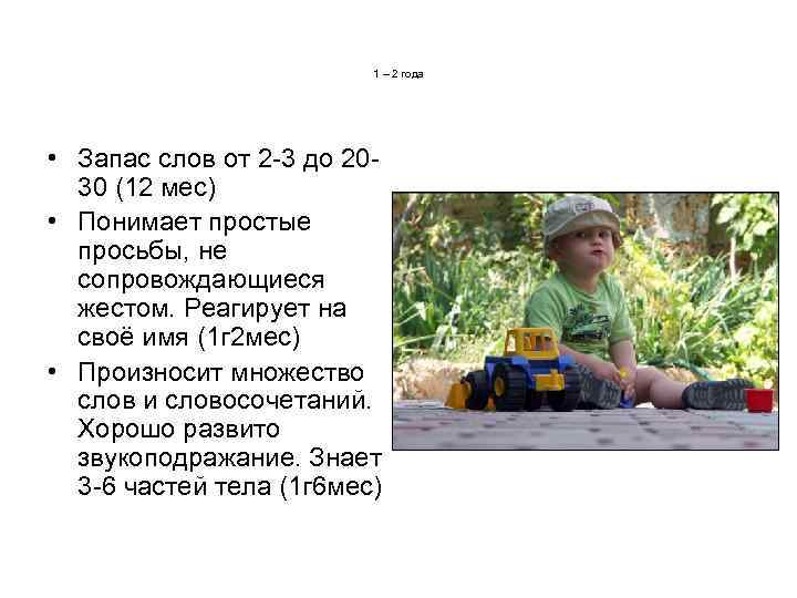 1 – 2 года • Запас слов от 2 -3 до 2030 (12 мес)