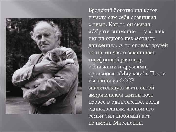 Анализ стихотворения бродского одиночество по плану