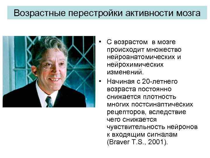 Возрастные перестройки активности мозга • С возрастом в мозге происходит множество нейроанатомических и нейрохимических