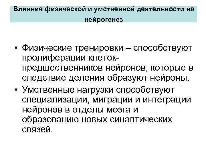 Влияние физической и умственной деятельности на нейрогенез • Физические тренировки – способствуют пролиферации клетокпредшественников