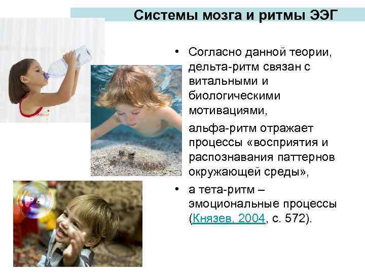 Системы мозга и ритмы ЭЭГ • Согласно данной теории, дельта-ритм связан с витальными и