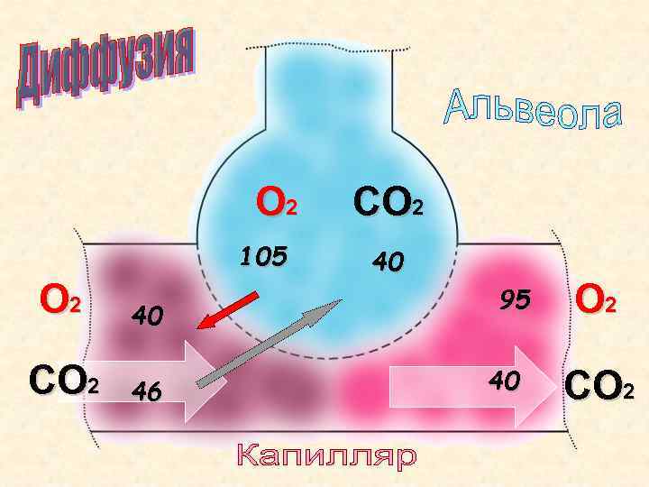 О 2 105 О 2 40 СО 2 46 СО 2 40 95 40