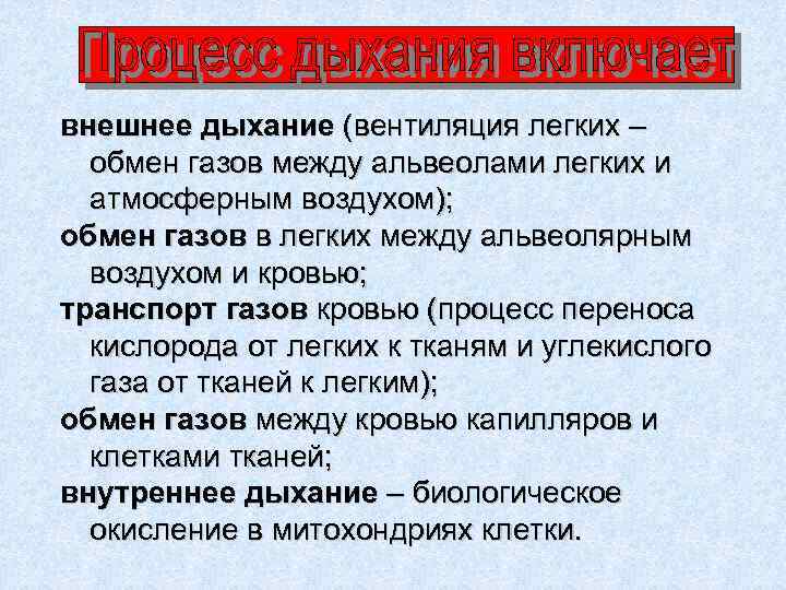 внешнее дыхание (вентиляция легких – обмен газов между альвеолами легких и атмосферным воздухом); обмен