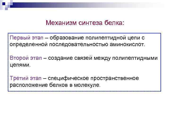 Механизм синтеза белка: Первый этап – образование полипептидной цепи с определенной последовательностью аминокислот. Второй