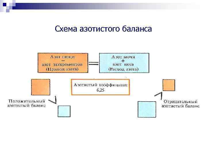 Схема азотистого баланса 