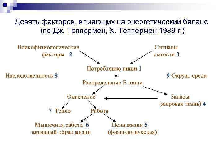 Девять факторов, влияющих на энергетический баланс (по Дж. Теппермен, Х. Теппермен 1989 г. )