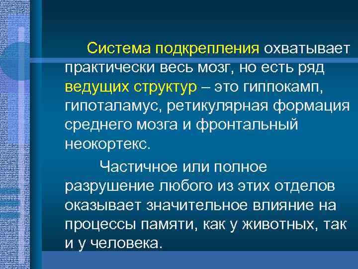 Система подкрепления охватывает практически весь мозг, но есть ряд ведущих структур – это гиппокамп,