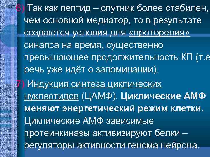 6) Так как пептид – спутник более стабилен, чем основной медиатор, то в результате