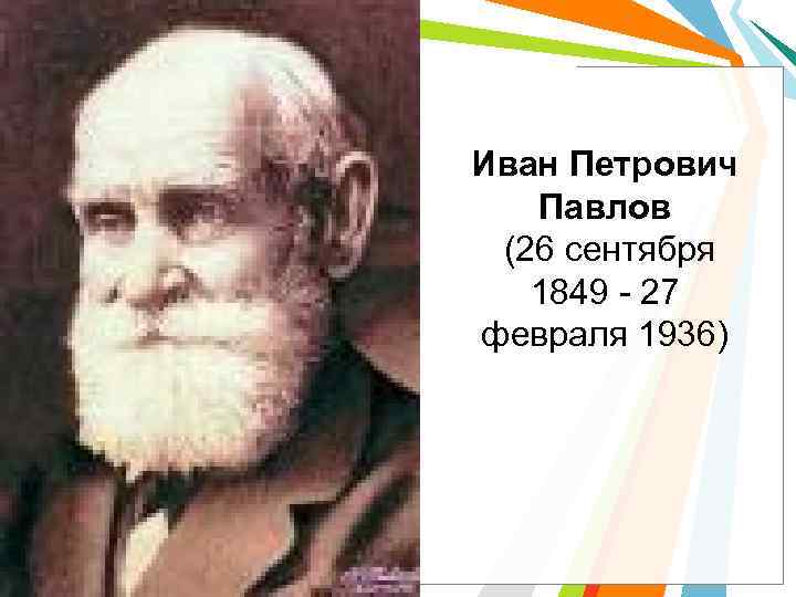 Иван Петрович Павлов (26 сентября 1849 - 27 февраля 1936) 