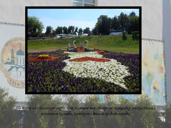 По пути на «Блинную гору» -так называется обзорная площадка распустилась огромная клумба, которую сделали