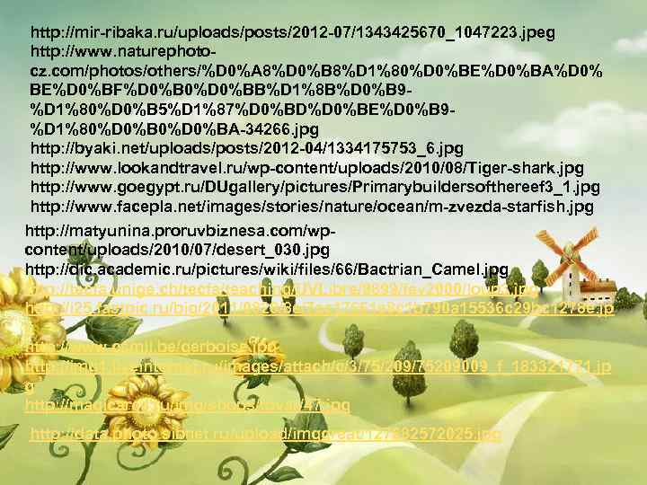http: //mir-ribaka. ru/uploads/posts/2012 -07/1343425670_1047223. jpeg http: //www. naturephotocz. com/photos/others/%D 0%A 8%D 0%B 8%D 1%80%D