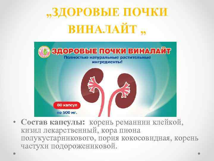 „ЗДОРОВЫЕ ПОЧКИ ВИНАЛАЙТ „ • Состав капсулы: корень реманнии клейкой, кизил лекарственный, кора пиона