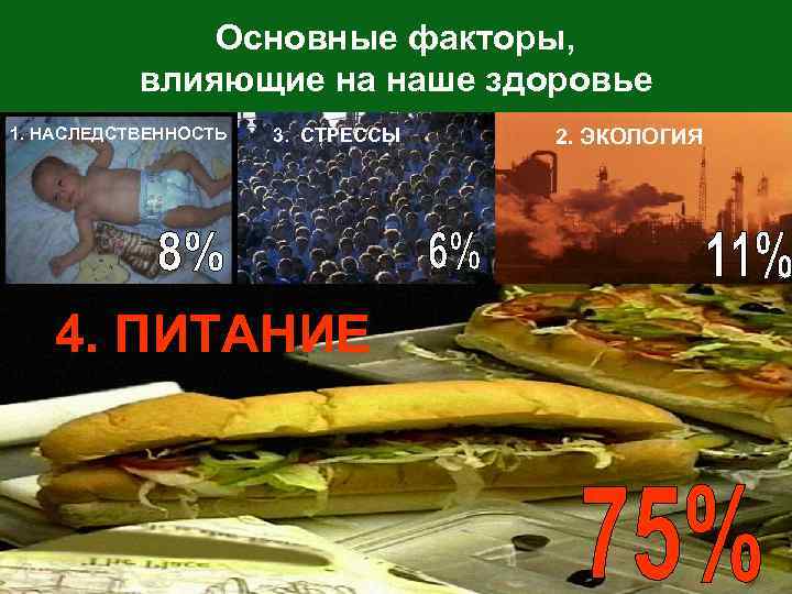 Основные факторы, влияющие на наше здоровье 1. НАСЛЕДСТВЕННОСТЬ 3. СТРЕССЫ 4. ПИТАНИЕ 2. ЭКОЛОГИЯ