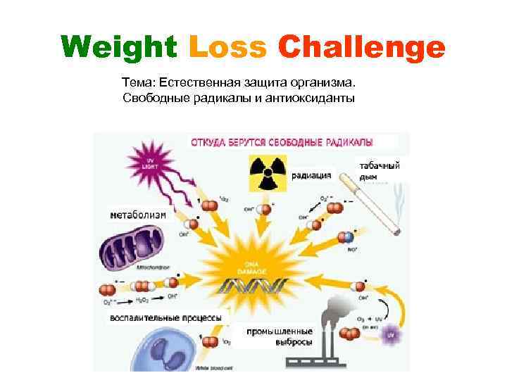 Weight Loss Challenge Тема: Естественная защита организма. Свободные радикалы и антиоксиданты 