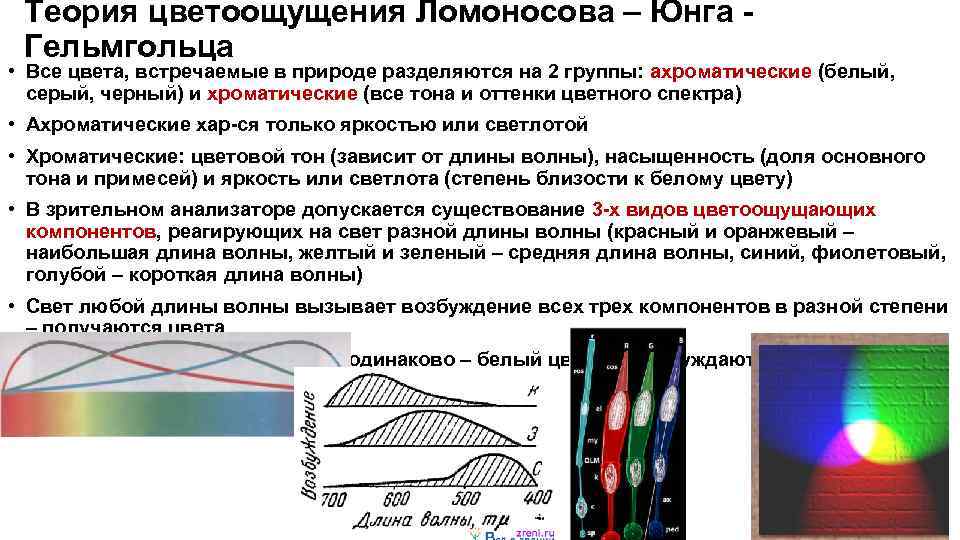 Спектральный глаз. Теория цвета Юнга-Гельмгольца. Теории цветового зрения Ломоносова и Гельмгольца. Теория цветового зрения Ломоносова. Трехкомпонентная теория цветового зрения Гельмгольца.