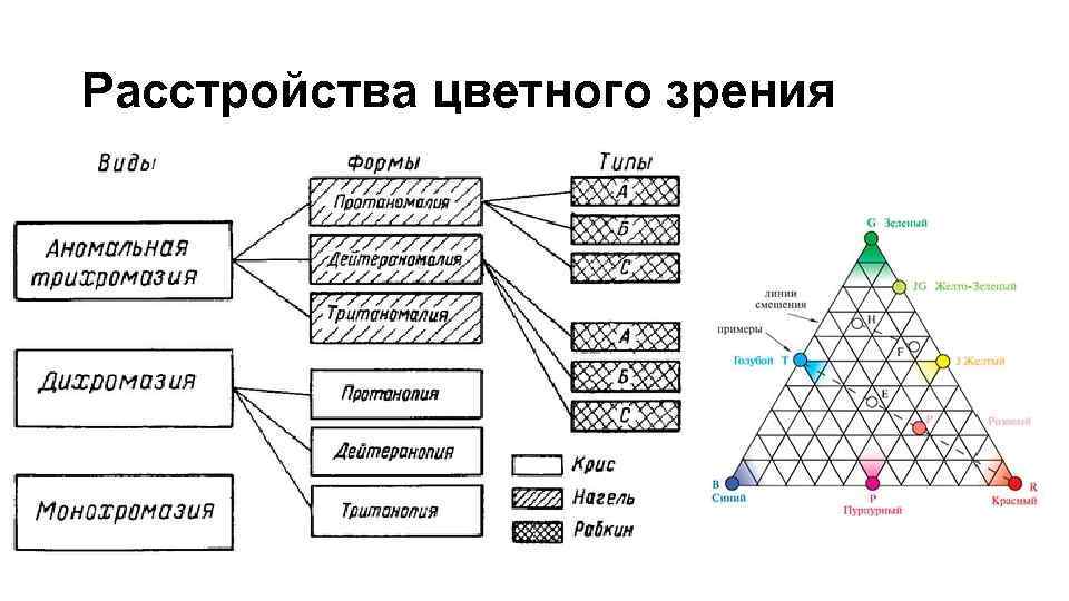 Расстройства цветного зрения 