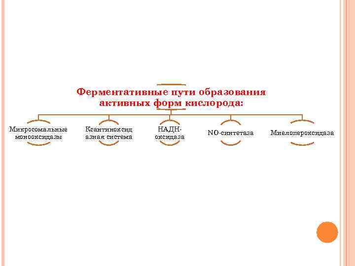 Схема процесса микросомального окисления