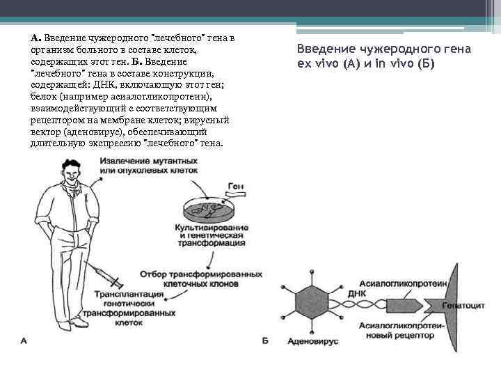 А. Введение чужеродного 