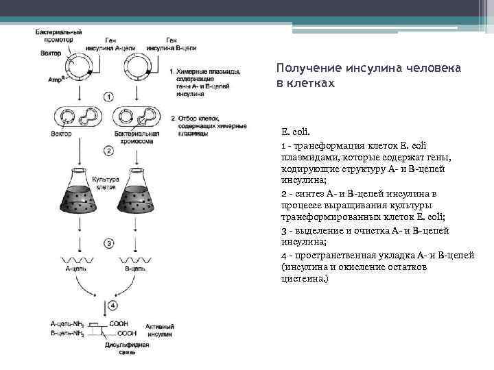 Обнаружены клетки трансформации