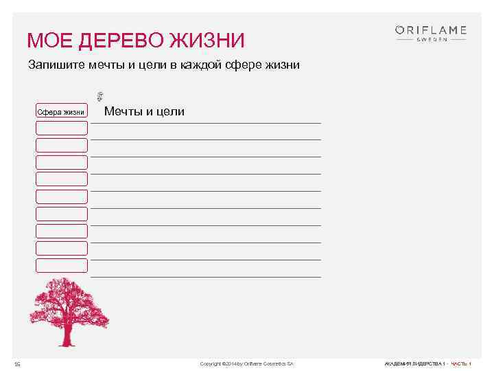 МОЕ ДЕРЕВО ЖИЗНИ Запишите мечты и цели в каждой сфере жизни Сфера жизни Мечты
