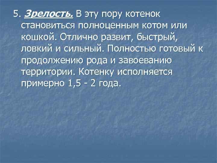 5. Зрелость. В эту пору котенок становиться полноценным котом или кошкой. Отлично развит, быстрый,