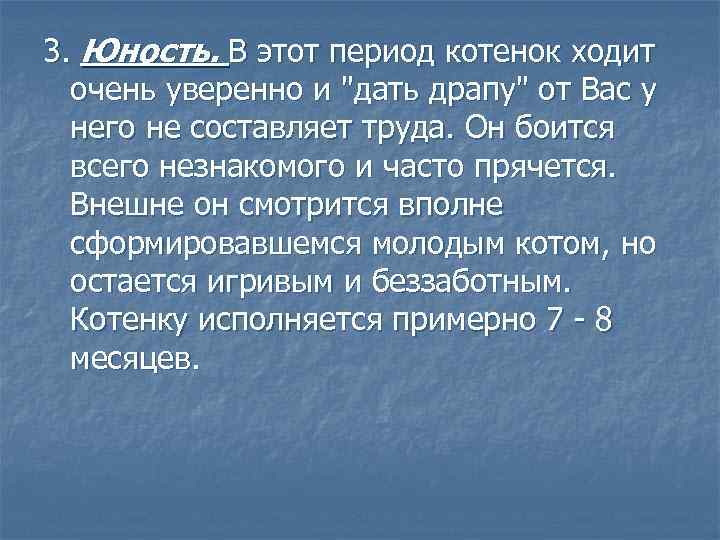 3. Юность. В этот период котенок ходит очень уверенно и "дать драпу" от Вас