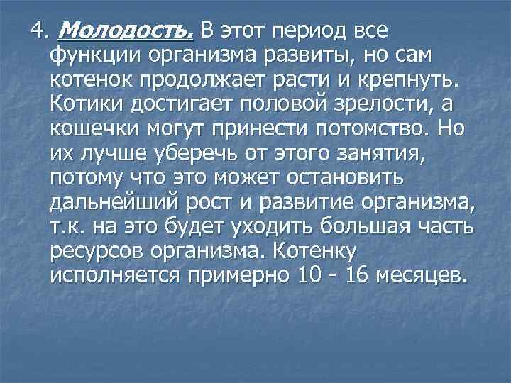 4. Молодость. В этот период все функции организма развиты, но сам котенок продолжает расти