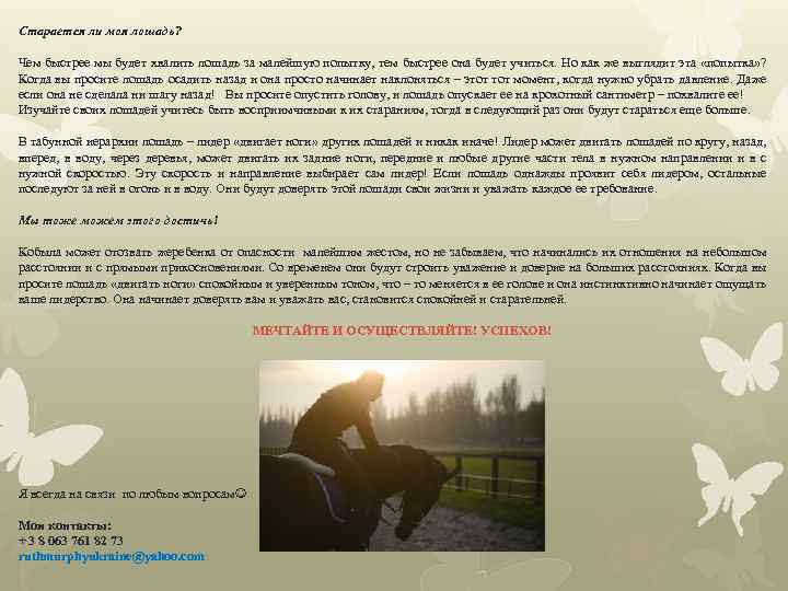 Старается ли моя лошадь? Чем быстрее мы будет хвалить лошадь за малейшую попытку, тем