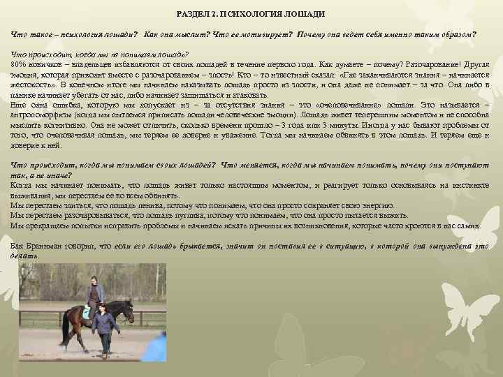 РАЗДЕЛ 2. ПСИХОЛОГИЯ ЛОШАДИ Что такое – психология лошади? Как она мыслит? Что ее