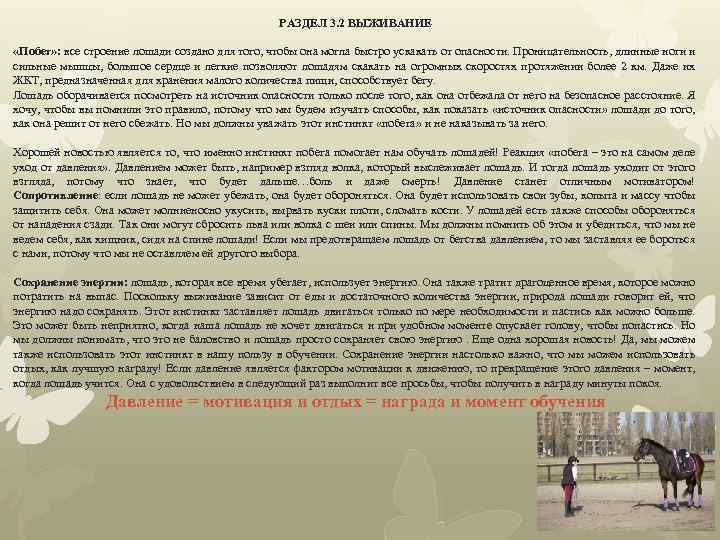 РАЗДЕЛ 3. 2 ВЫЖИВАНИЕ «Побег» : все строение лошади создано для того, чтобы она